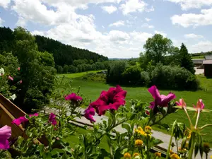 "Zur Hasenkammer" - Wohnung Kirschblüte