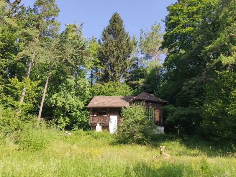 Aussenansicht des Waldhauses, Sommer