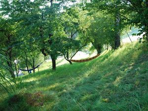 Blick in den Garten