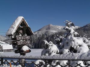 Garten Winter