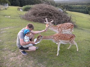 Erholung für die ganze Familie