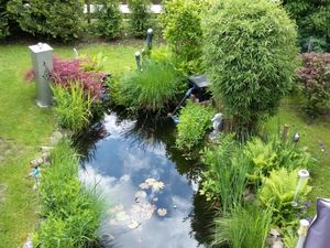 Unser Garten mit Teich im Sommer