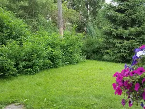 Gartenanteil FeWo Gartenanteil FeWo