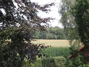 Ausblick Schlafzimmer Ausblick Schlafzimmer