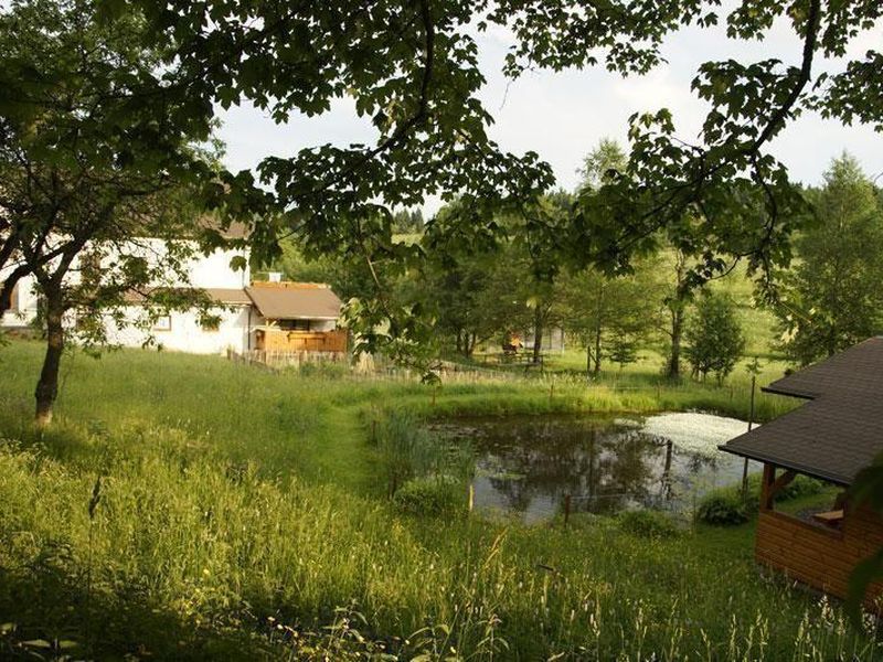 Blühende Bergwiese an der Ferienwohnung