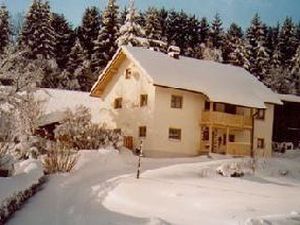 Ferienhaus am Waldesrand im Winter