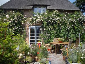 Terrasse im Osten