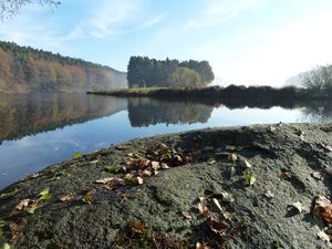 Herbst am Regen