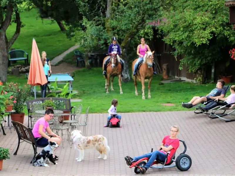 Bio-Erlebnisbauernhof Doll - Haflingerhof