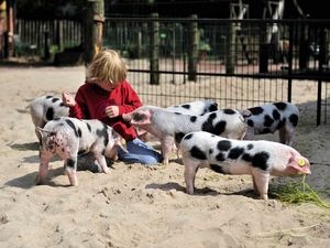 Tierpark Nordhorn