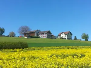 Hof Kohlweid Hof Kohlweid