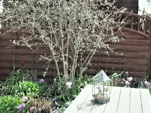 INSIDE, OUTSIDE