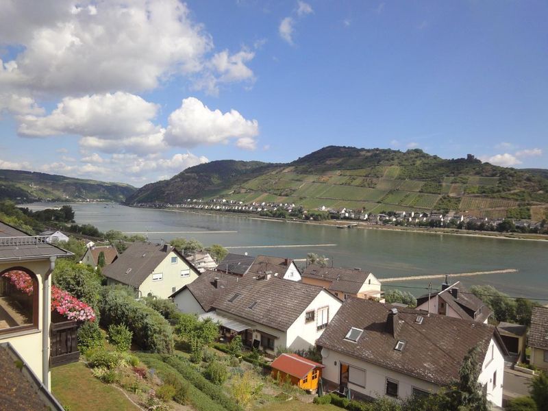 Ausblick aus dem Fenster. "Blick ins Rheintal" (Wohnzimmer)