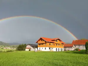 Hochgratblick Sinswang