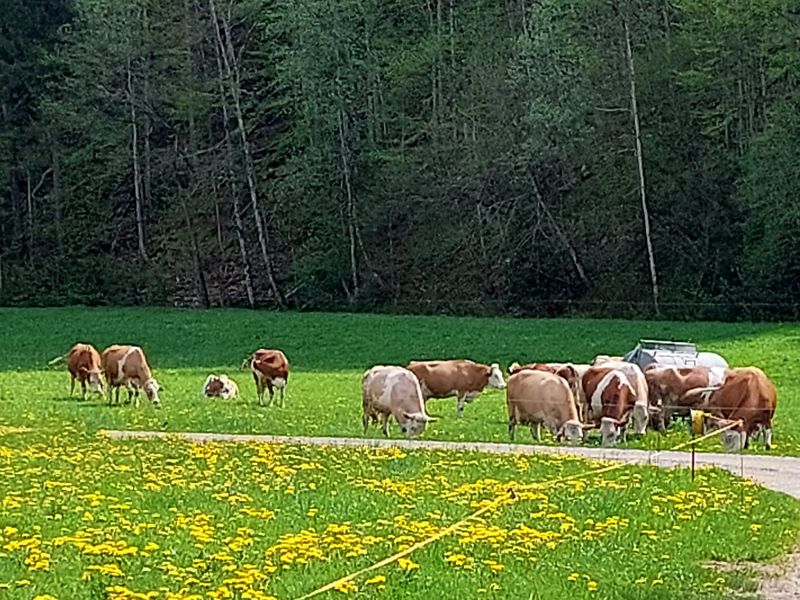 Natur vor Haustüre