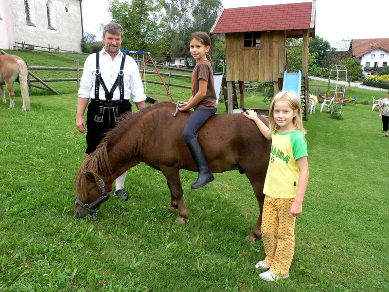 Kinder mit Pferd