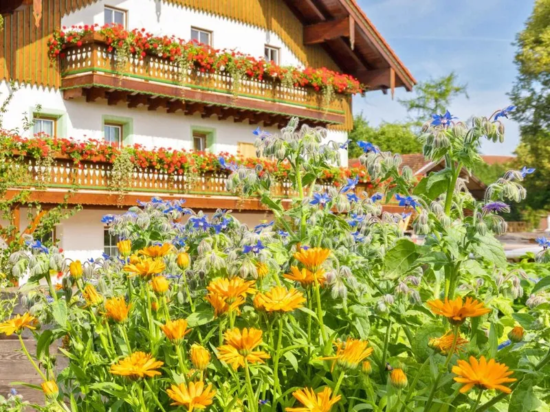 Hof mit Kräutergarten Hof mit Kräutergarten