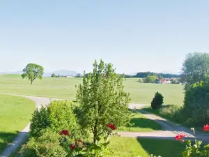Blick vom Hof Blick vom Hof