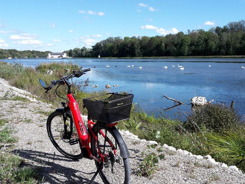 Donau zwischen Günzburg und Offingen