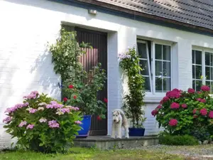 Willkommen in Osterhever Willkommen in Osterhever