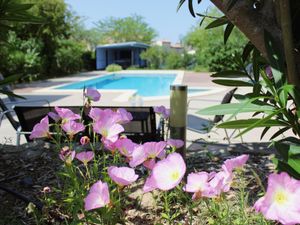 Schwimmbad des Ferienhauses