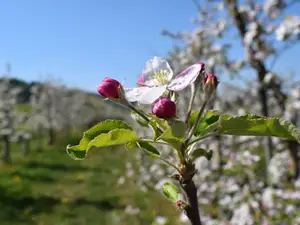 dsc_1203 dsc_1203