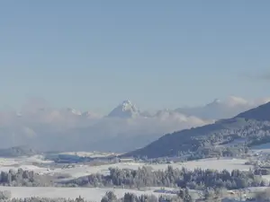 Winterbild Winterbild