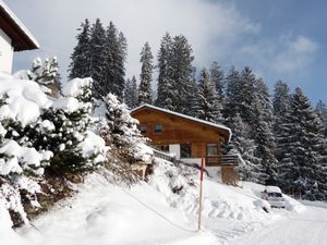 Ferienhaus bim Waldi im Winter