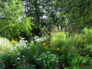 Der große Bauerngarten im Sommer