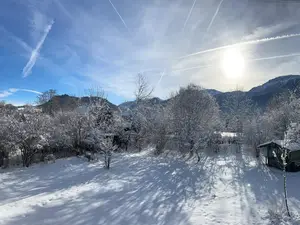 Blick in den Garten.