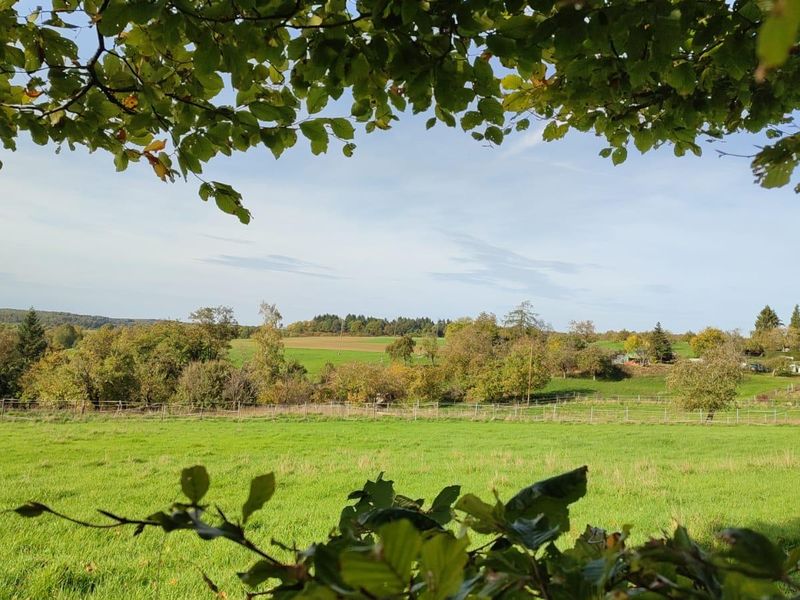 Aussicht aus dem Garten