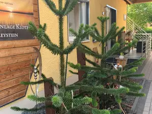 Eingangsbereich_1 Eingangsbereich_1