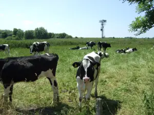 Nachbarschaft Nachbarschaft