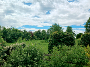 Blick vom Balkon