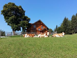 Sommer Bichlhütte