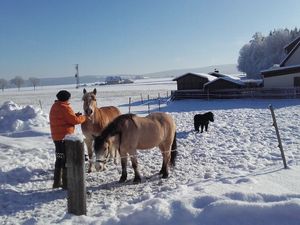 Ferienhof im Winter