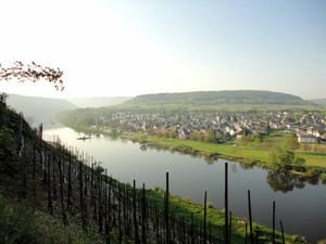 Pünderich an der Mosel