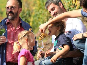 Picknick zur Weinbergwanderung