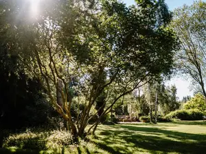 Garten in ruhiger Umgebung