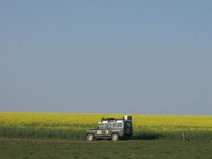 Safari in der  Umgebung