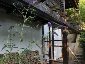 Eingang Wohnung Eingang Wohnung