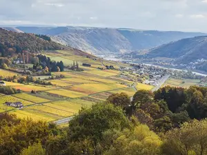 Talblick aus der Ferienwohnung Talblick aus der Ferienwohnung