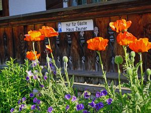 Parkplatz Haus Zauner