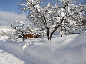 Obstangerl eingeschneit