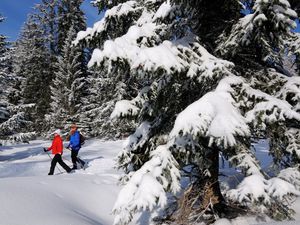 Ihre Gastgeber beim Winterwandern