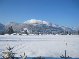 Loipe und Winterwanderweg direkt am Haus