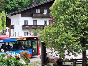 Bushaltestelle direkt vor dem Haus