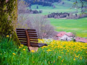 NIMM PLATZ UND GENIEß DIE AUSSICHT