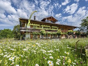 Haus Süden ganzes Haus