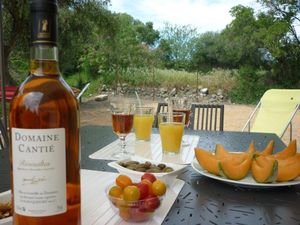 moments conviviaux sur la terrasse